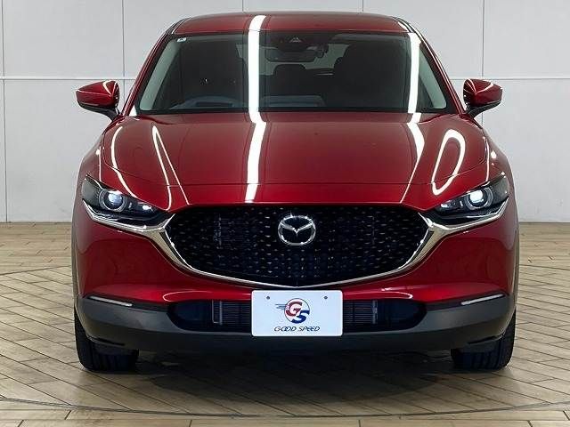 CX-30