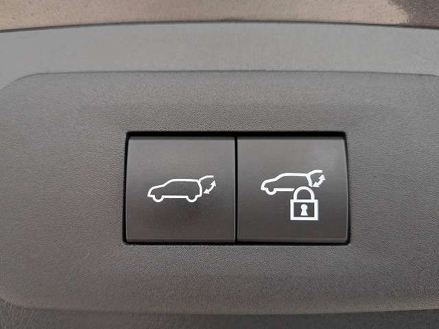LEXUS NX450h+ AWD