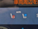 LEXUS NX450h+ AWD