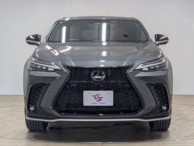 LEXUS NX450h+ AWD