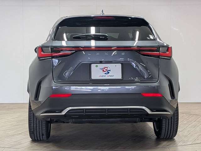 LEXUS NX450h+ AWD