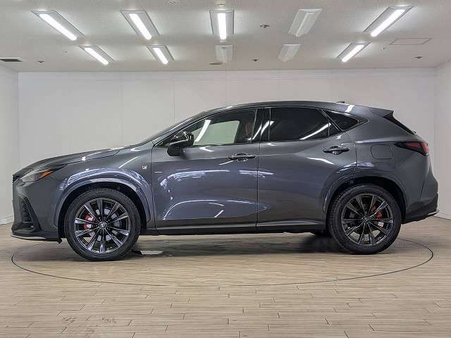 LEXUS NX450h+ AWD
