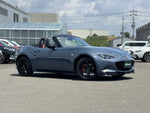 ROADSTER