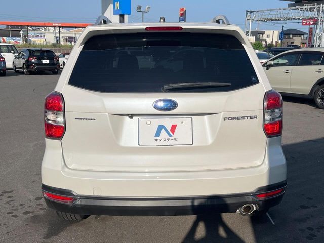 FORESTER