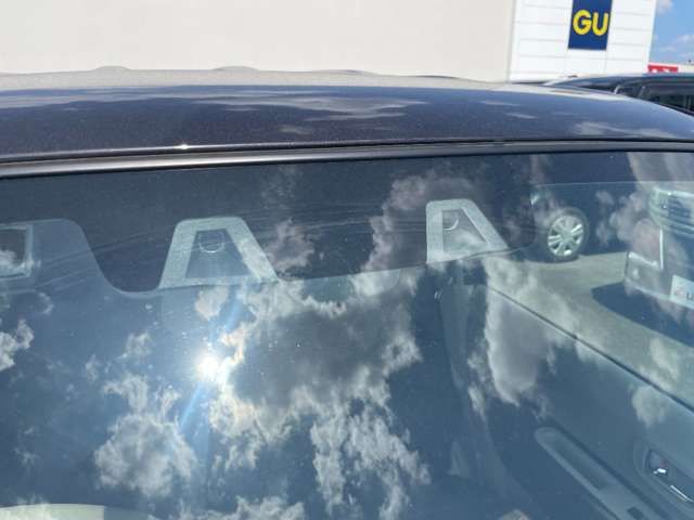 ALTO LAPIN