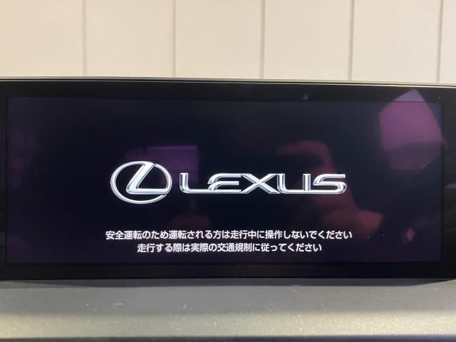 LEXUS NX300h