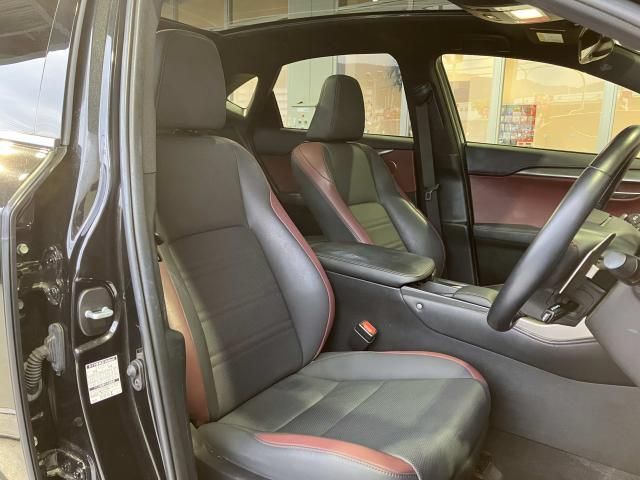 LEXUS NX300h
