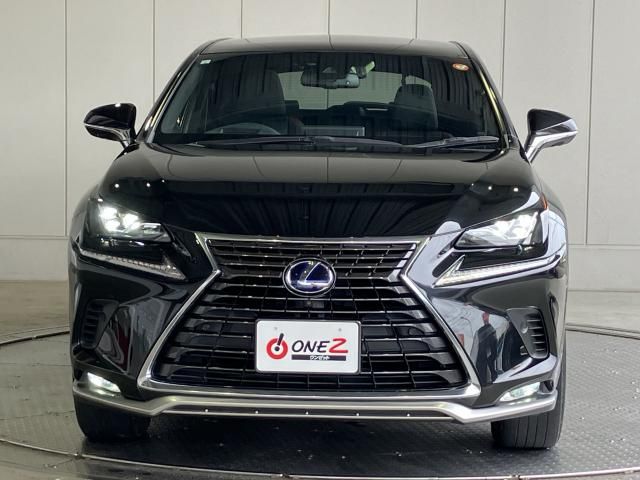 LEXUS NX300h