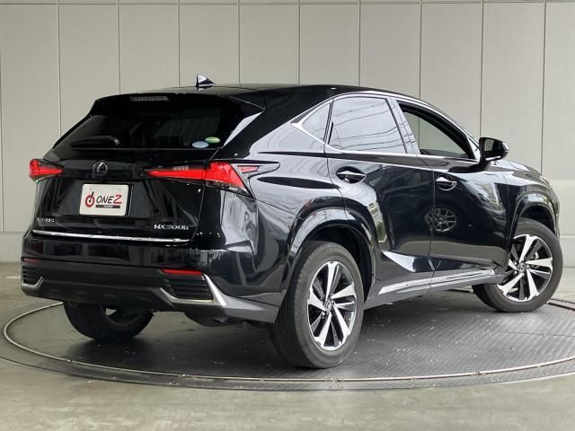 LEXUS NX300h