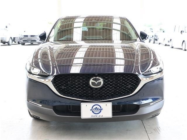 CX-30