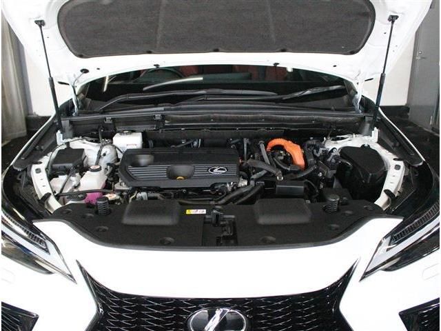 LEXUS NX350h AWD