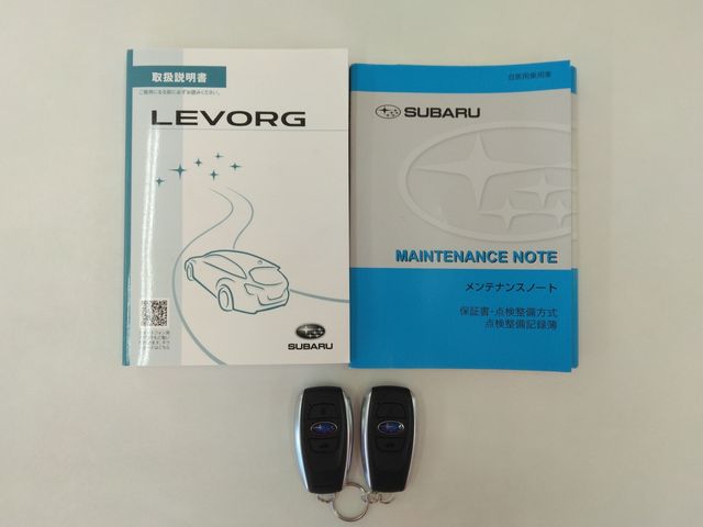 LEVORG