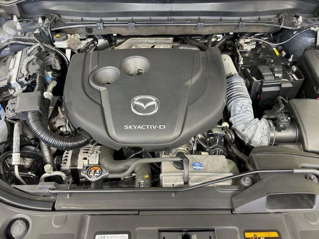 CX-8