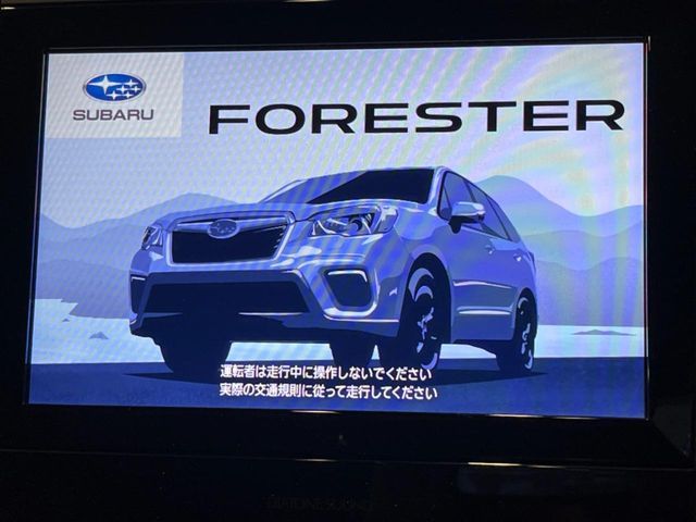FORESTER