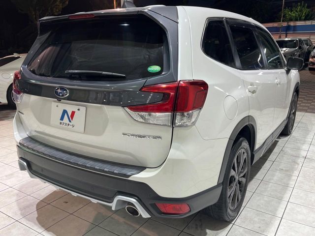FORESTER