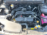 LEGACY OUTBACK