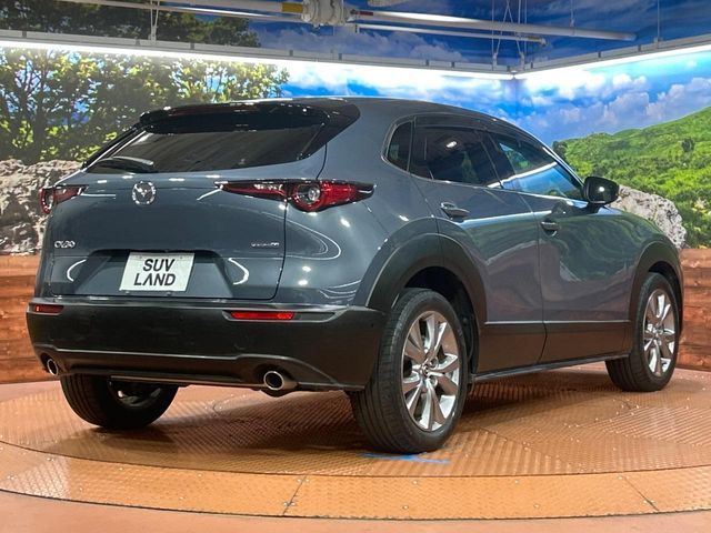 CX-30