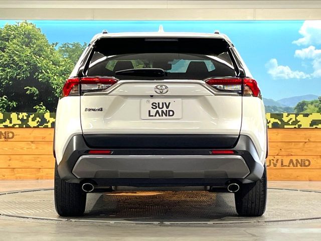 RAV4 4WD