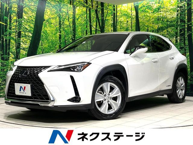 LEXUS UX250h