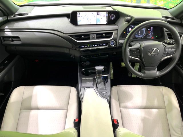 LEXUS UX250h