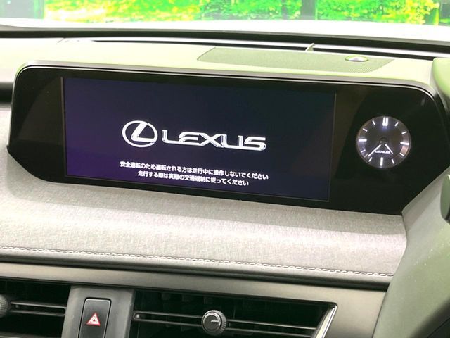 LEXUS UX250h