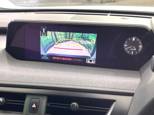 LEXUS UX250h