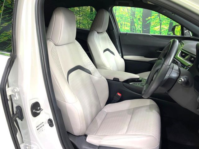 LEXUS UX250h