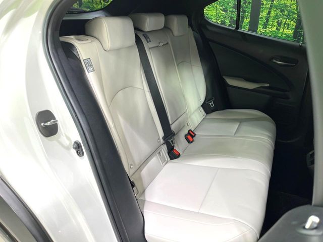 LEXUS UX250h
