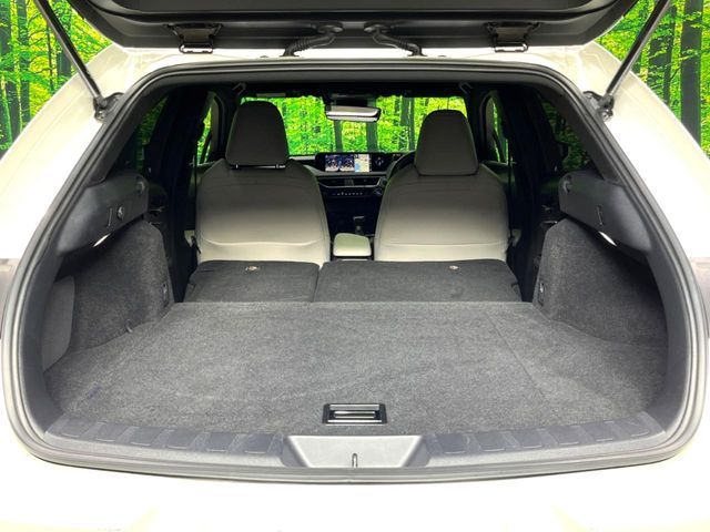 LEXUS UX250h
