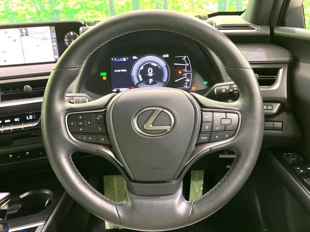 LEXUS UX250h