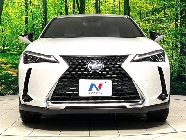 LEXUS UX250h