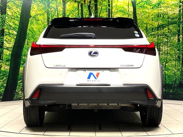 LEXUS UX250h