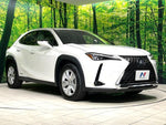 LEXUS UX250h