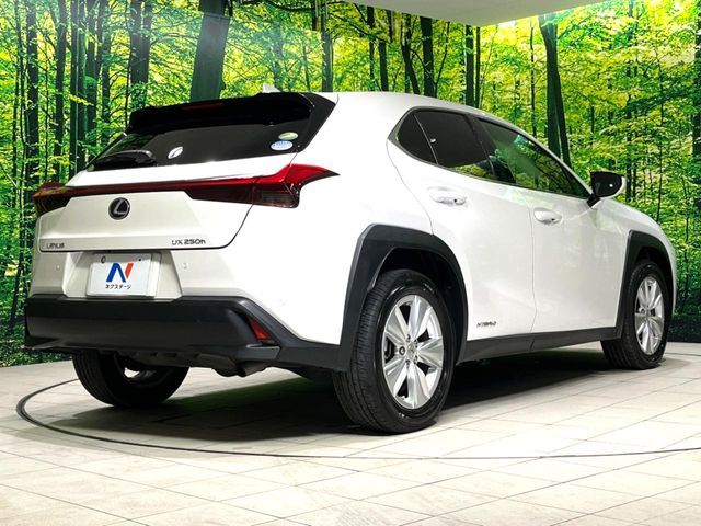 LEXUS UX250h