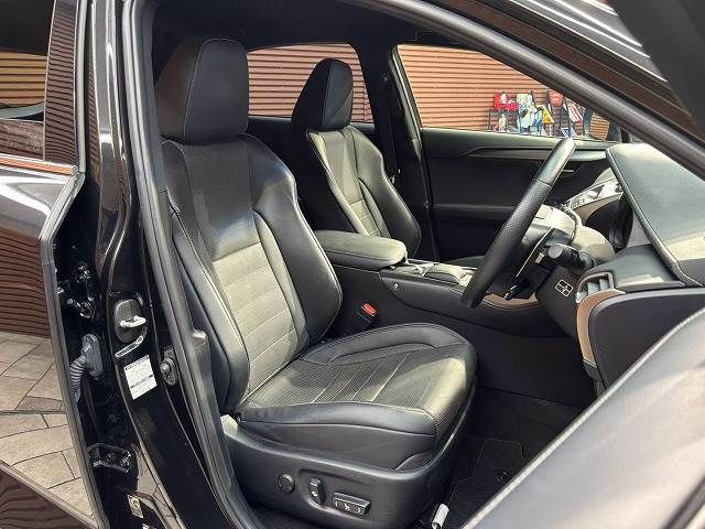 LEXUS NX300h