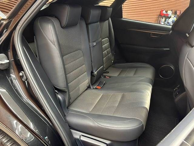 LEXUS NX300h