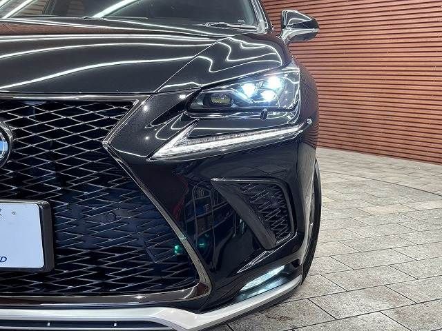 LEXUS NX300h