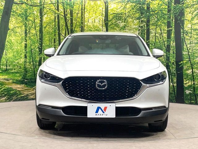 CX-30