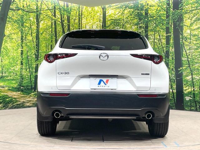 CX-30