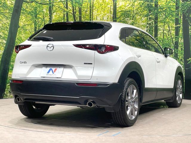 CX-30