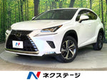 LEXUS NX300