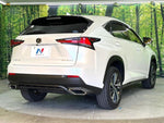 LEXUS NX300