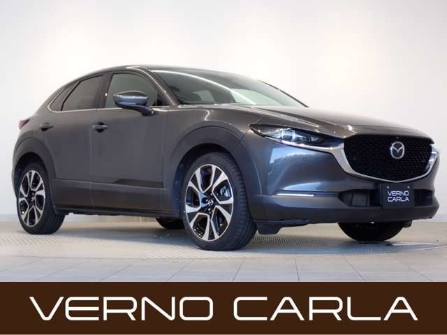 CX-30