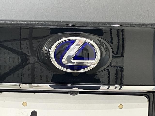 LEXUS GS300h