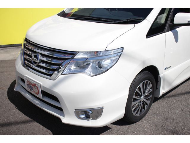 SERENA  S-HYBRID