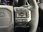 LANDCRUISER 250