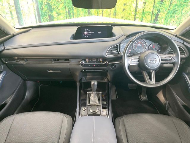 CX-30