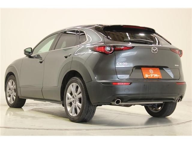 CX-30