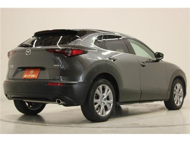 CX-30