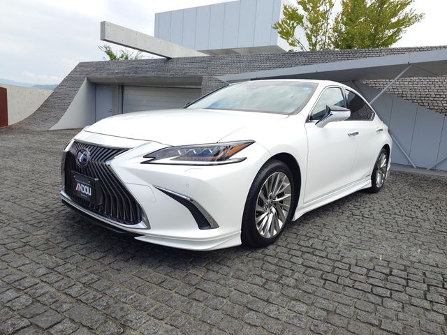 LEXUS ES300h